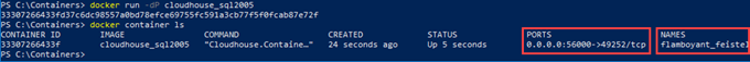 Port mappings and random container name if a name is not specified