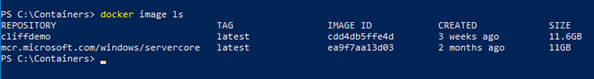 Using docker image ls to see which Docker images are already on the computer